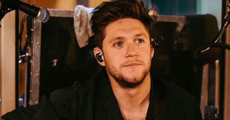 Niall Horan was accused of racism