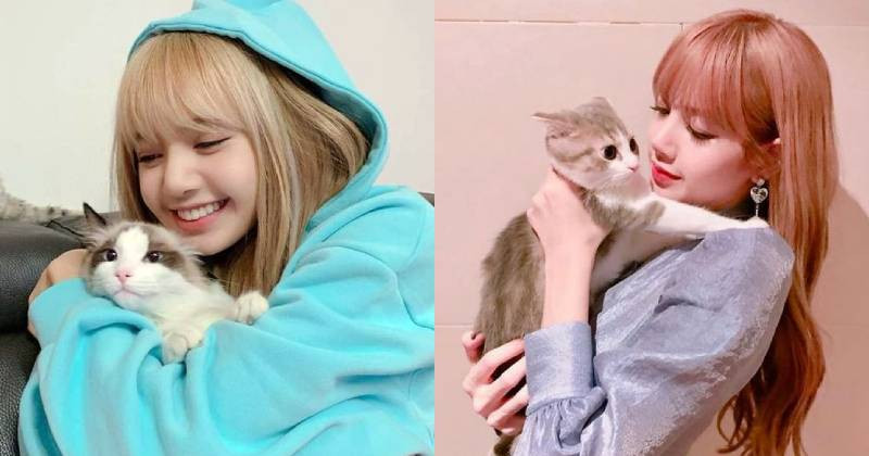 8 Times BLACKPINK’s Lisa And Her Cat Were Too Cute—In Honor Of Leo’s Birthday