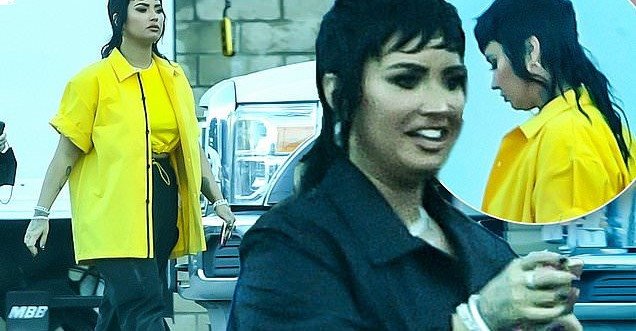 Demi Lovato trades in pixie haircut for a dramatic extra-long mullet