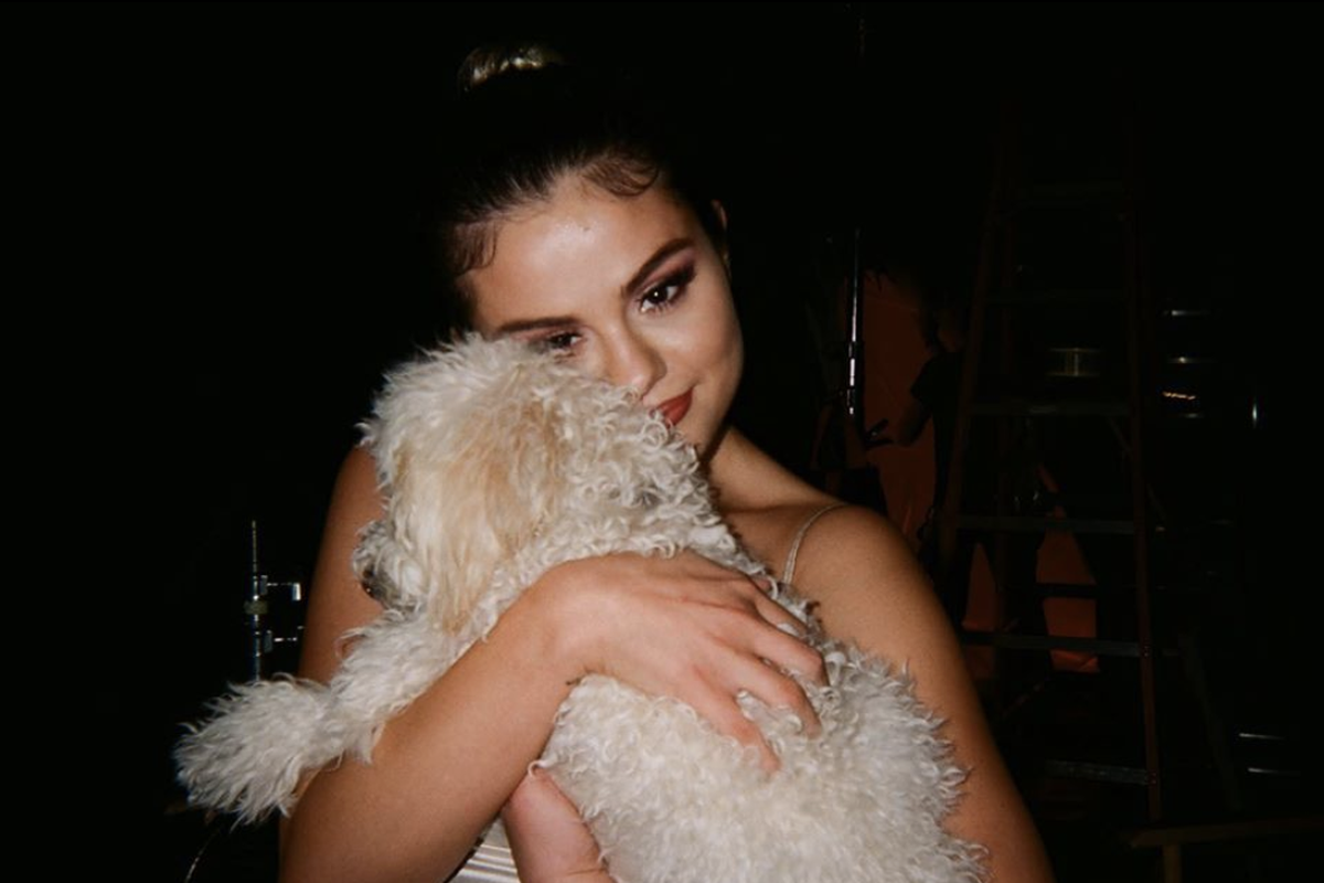 Selena Gomez adopt puppies while they isolate at home