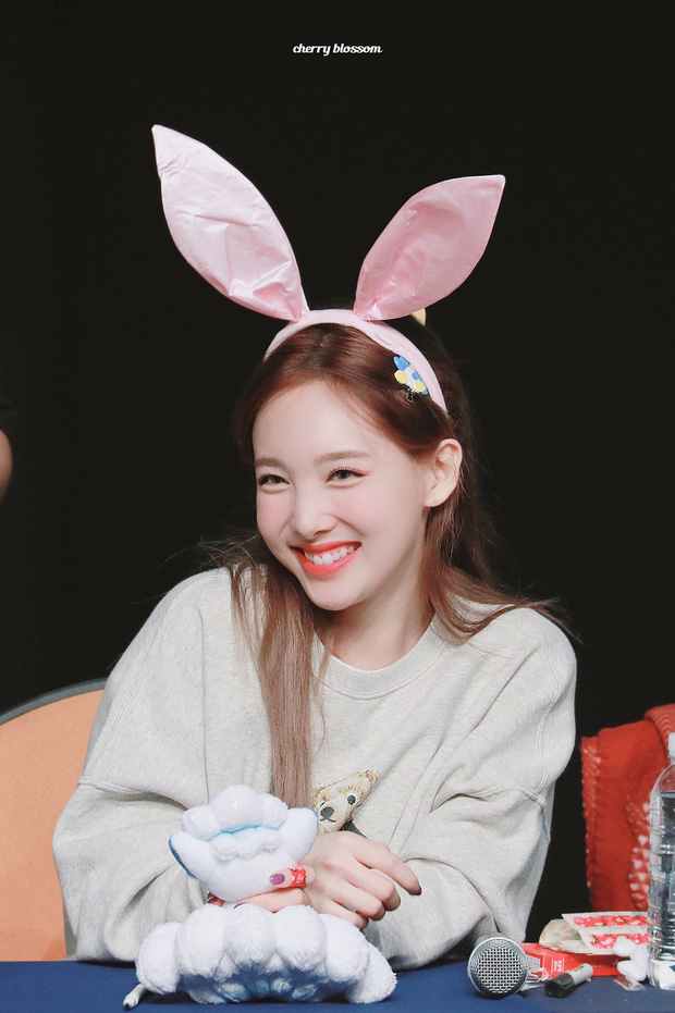 The bunnies of KPop 6 idols who are actually cute