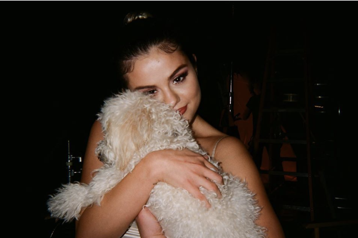 Selena Gomez adopt puppies while they isolate at home
