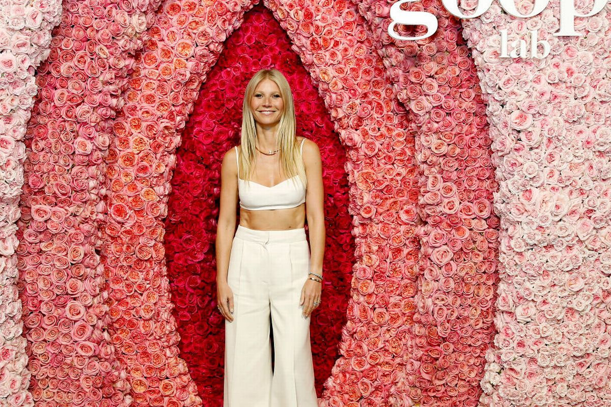 Gwyneth Paltrow donates Oscars dress she once dissed to charity auction