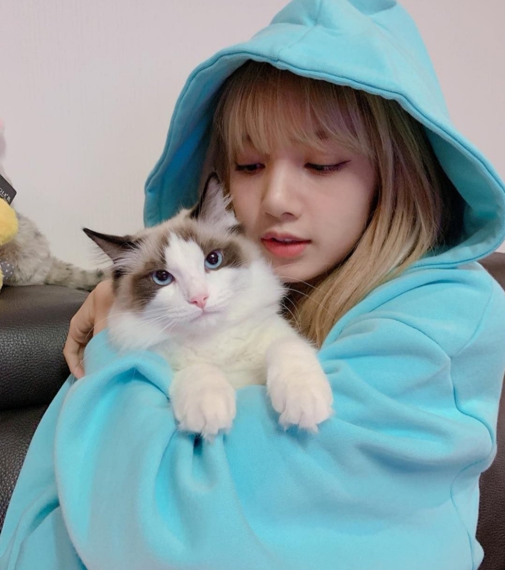 idols-and-pets-the-most-famous-cats-dogs-in-k-pop-11