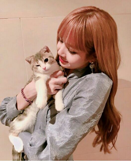 idols-and-pets-the-most-famous-cats-dogs-in-k-pop-12