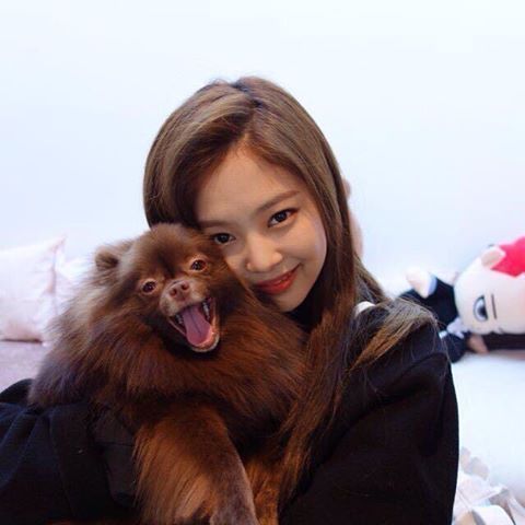idols-and-pets-the-most-famous-cats-dogs-in-k-pop-2