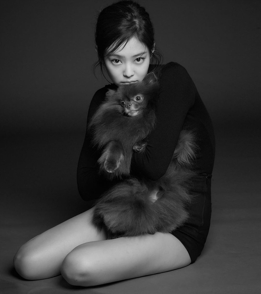 idols-and-pets-the-most-famous-cats-dogs-in-k-pop-3