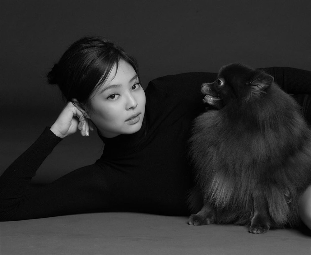 idols-and-pets-the-most-famous-cats-dogs-in-k-pop-4