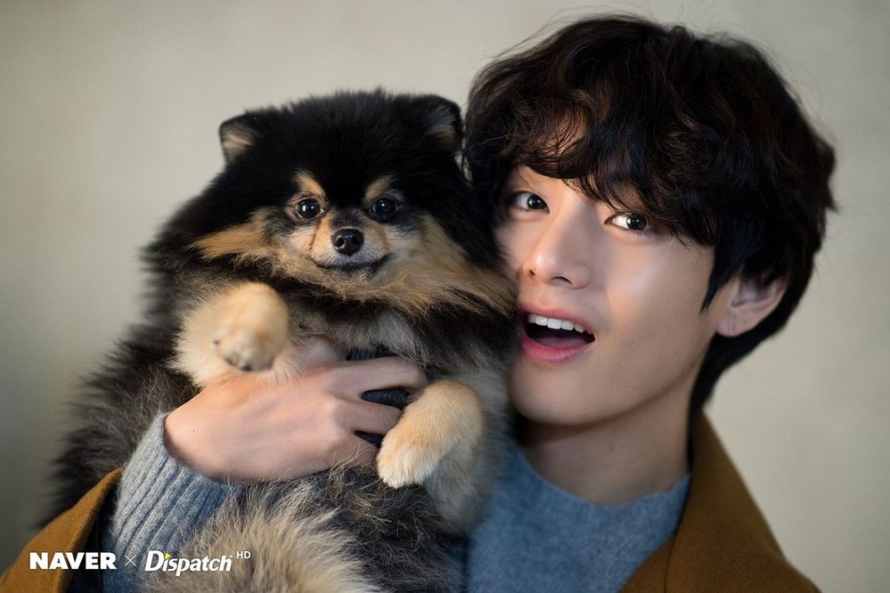 idols-and-pets-the-most-famous-cats-dogs-in-k-pop-5