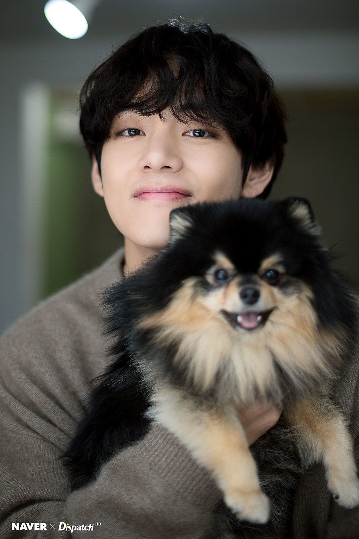idols-and-pets-the-most-famous-cats-dogs-in-k-pop-6