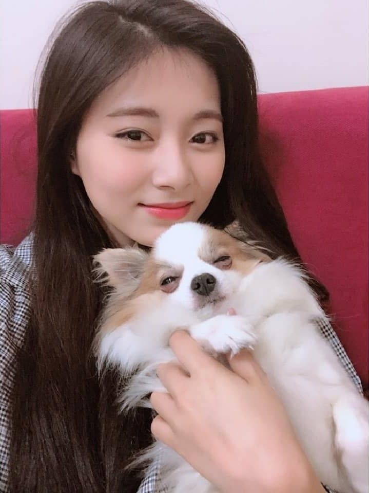 idols-and-pets-the-most-famous-cats-dogs-in-k-pop-7