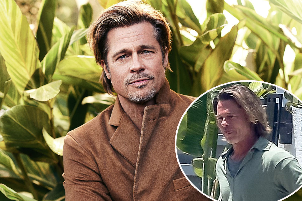Brad Pitt reveals long hair and dark roots after months without a visit to the salon