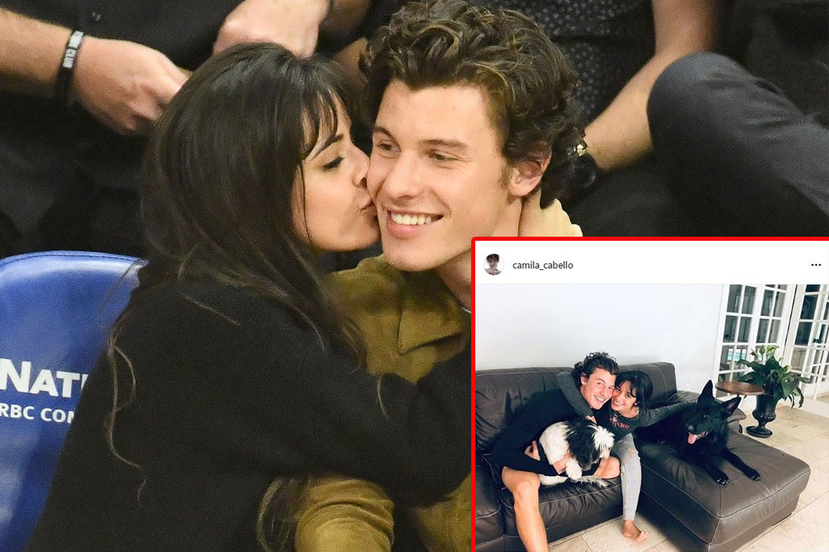 Camila Cabello cuddles up to Shawn Mendes and dogs Thunder and Leo