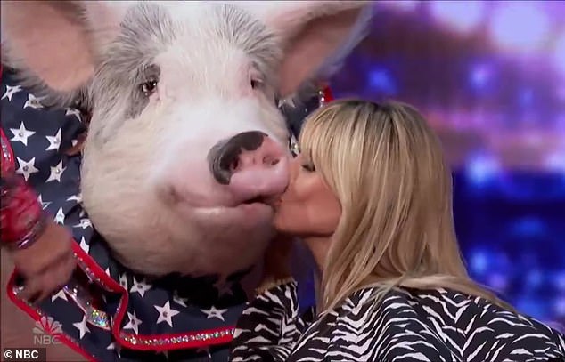 heidi-klum-kisses-a-talented-pig-after-being-wowed-by-its-performance-on-america's-got-talent-1