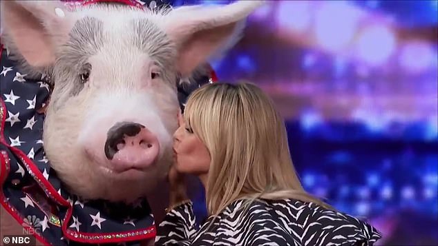heidi-klum-kisses-a-talented-pig-after-being-wowed-by-its-performance-on-america's-got-talent-3