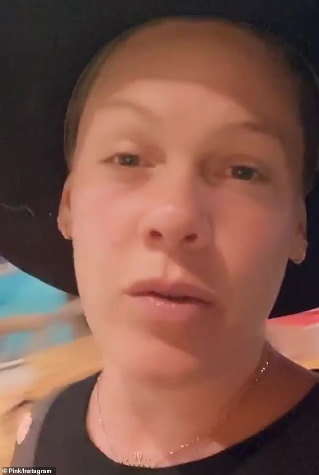pink-reveals-her-son-jameson-was-diagnosed-with-pretty-bad-food-allergies-1