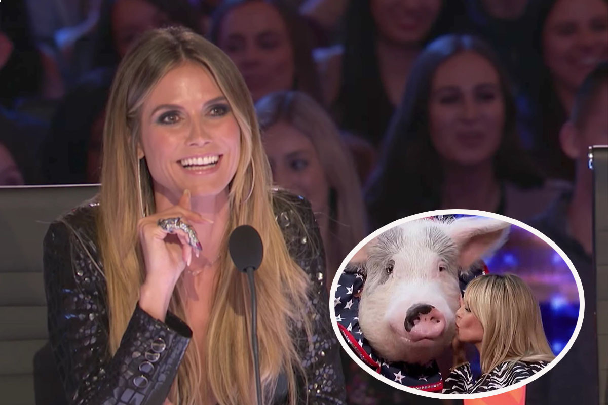 Heidi Klum kisses a talented pig after being wowed by its performance on America's Got Talent