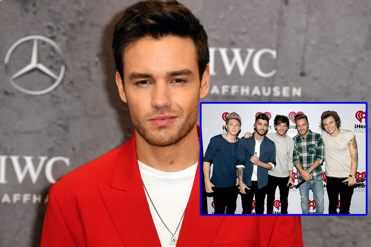 Liam Payne says a One Direction reunion 'seems very hopeful' for the band's 10th anniversary