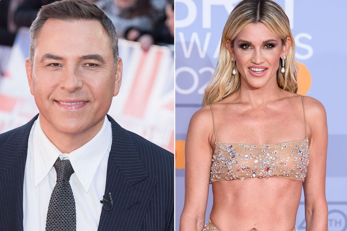 David Walliams sets his sights on a romance with Ashley Roberts after sending her flirty messages