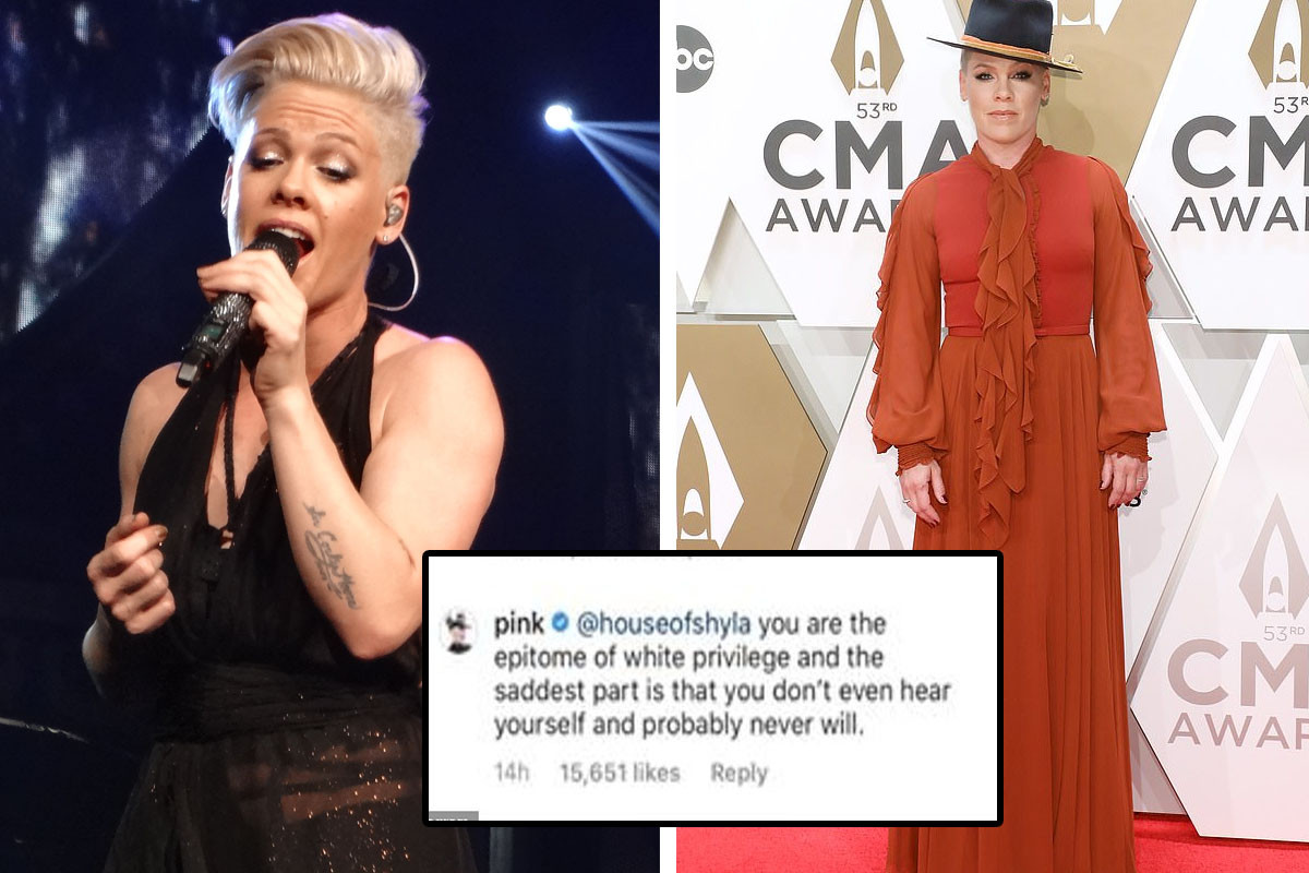 Pink defends herself from Instagram trolls after slamming the "All Lives Matter" movement