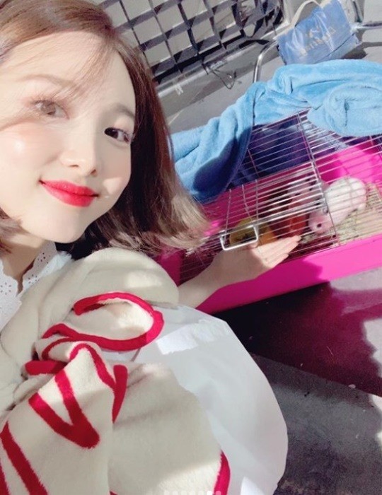 twice-nayeon-posts-with-cute-rabbits-5