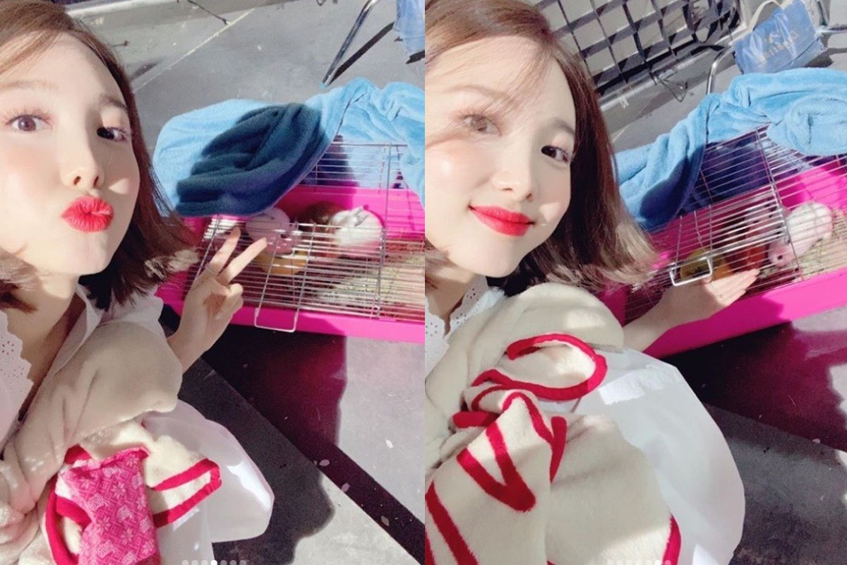 Twice's Nayeon posts with cute rabbits