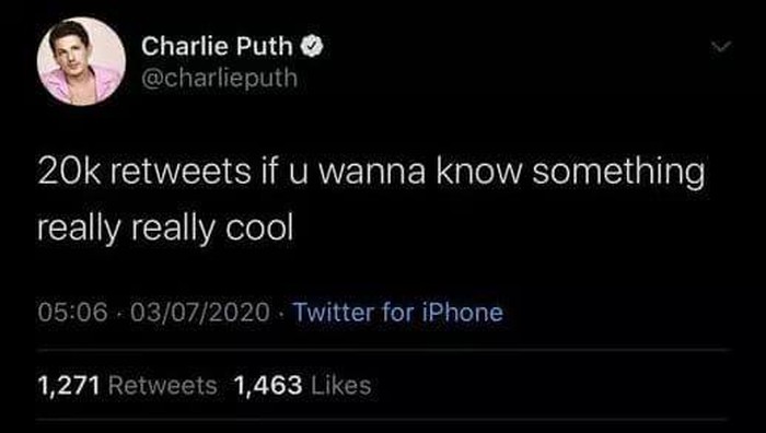 calling-20000-retweets-to-release-new-products-charlie-puth-gets-a-bitter-ending-3
