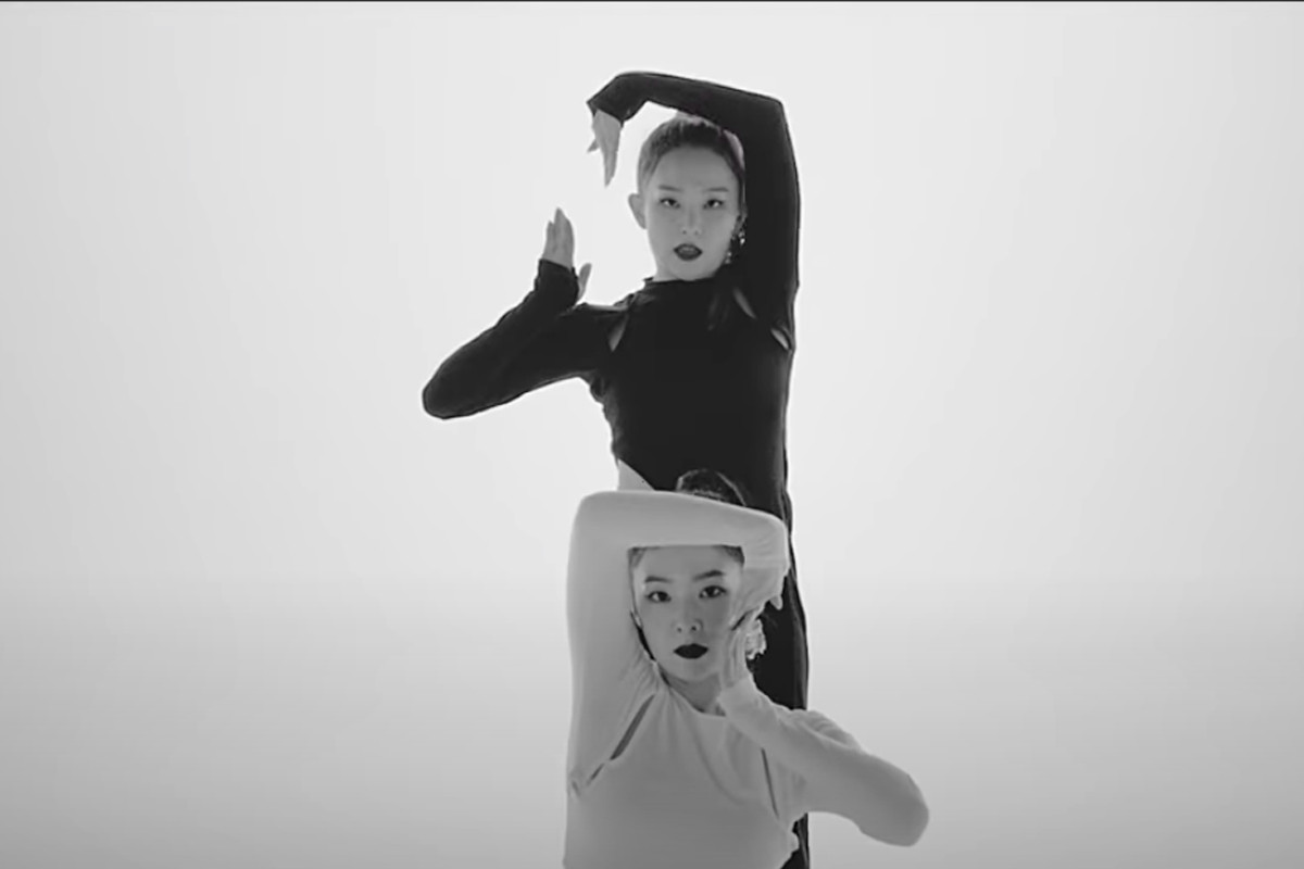 'Naughty' dance choreography of Irene, Seulgi amazes netizens
