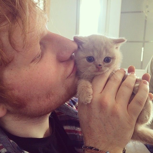 6-celebrities-and-pets-posed-adorably-together-in-selfies-1