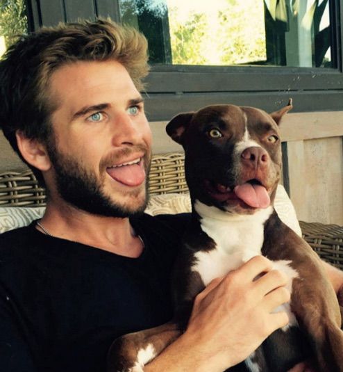 6-celebrities-and-pets-posed-adorably-together-in-selfies-9