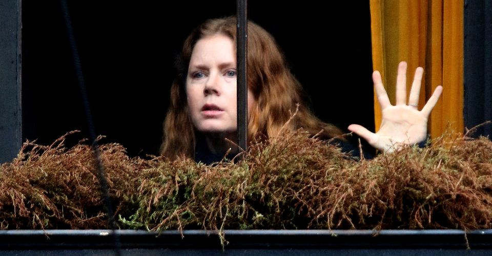New-movie-of-Amy-Adams-Woman-in-the-Window-May-Stream-On-Netflix-2