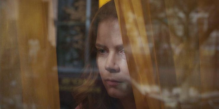 New-movie-of-Amy-Adams-Woman-in-the-Window-May-Stream-On-Netflix-3