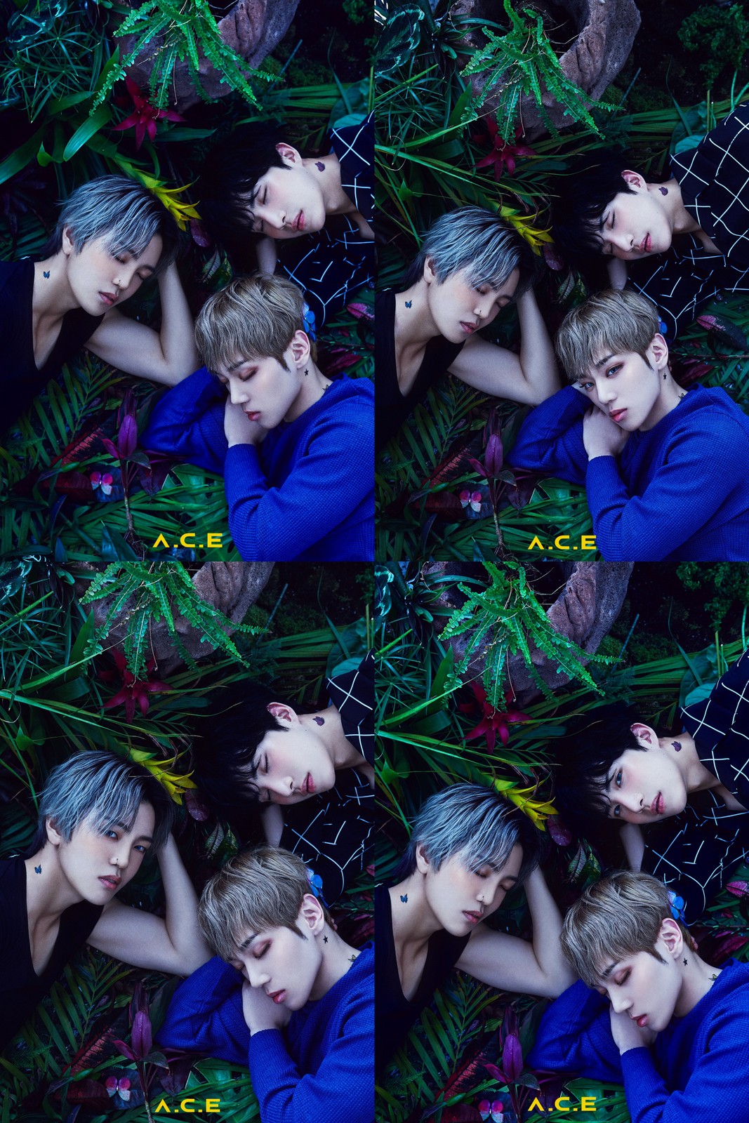 ace-unveils-comeback-concept-photos-for-4th-mini-album-hzjmthe-butterfly-phantasy-6