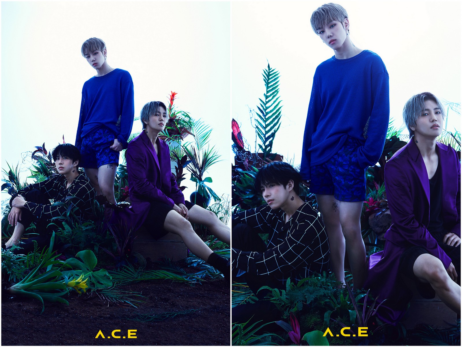 ace-unveils-comeback-concept-photos-for-4th-mini-album-hzjmthe-butterfly-phantasy-7