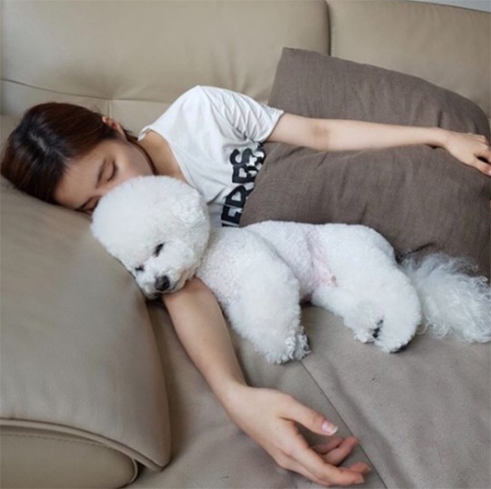 shin-se-kyung-cute-beauty-sleeping-pet-1