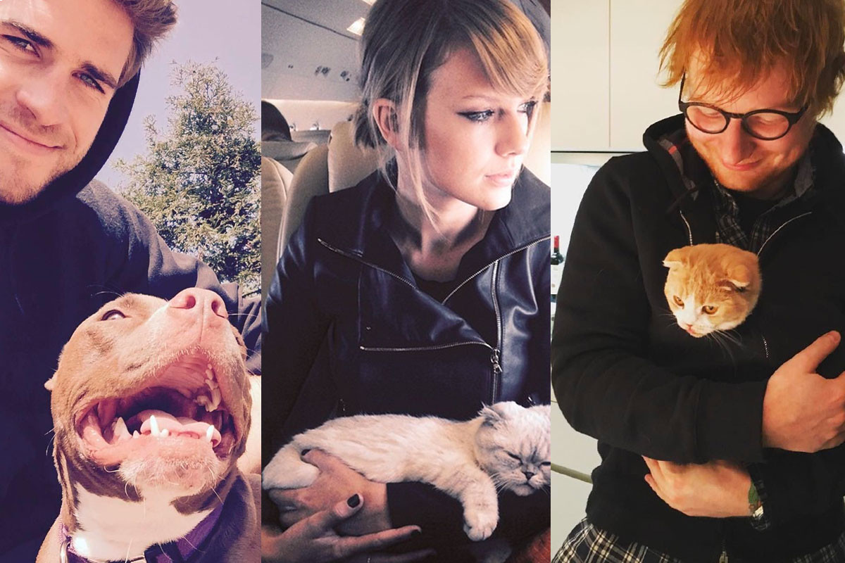 6 celebrities and pets posed adorably together in selfies