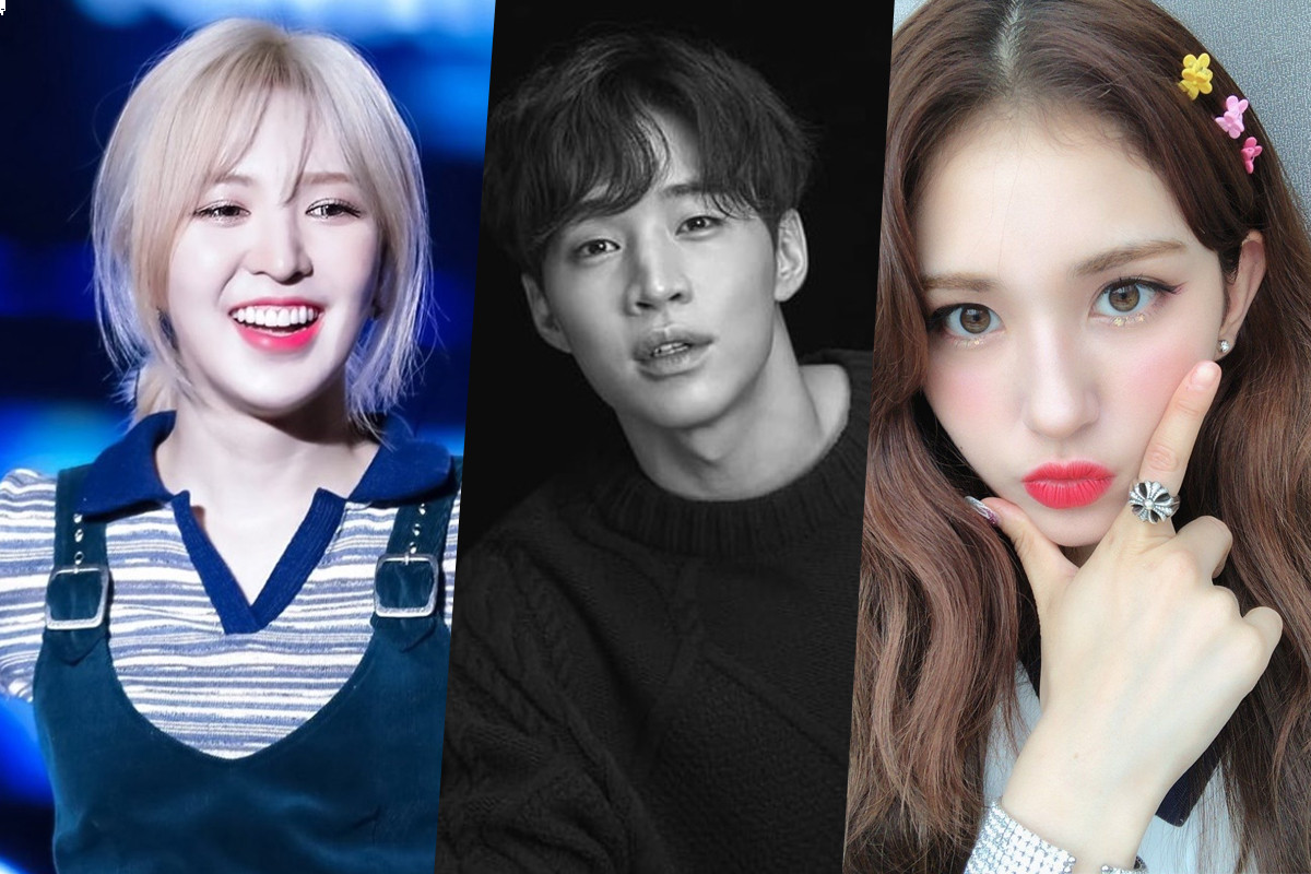 Top 8 idol come from or relate to Canada