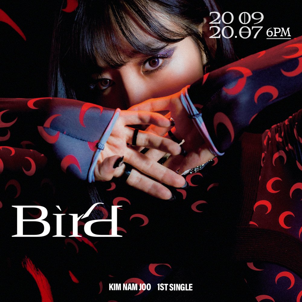 a-pink-namjoo-c-version-teaser-solo-debut-bird-1