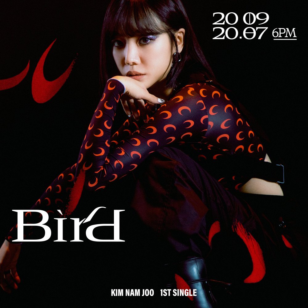 a-pink-namjoo-c-version-teaser-solo-debut-bird-2