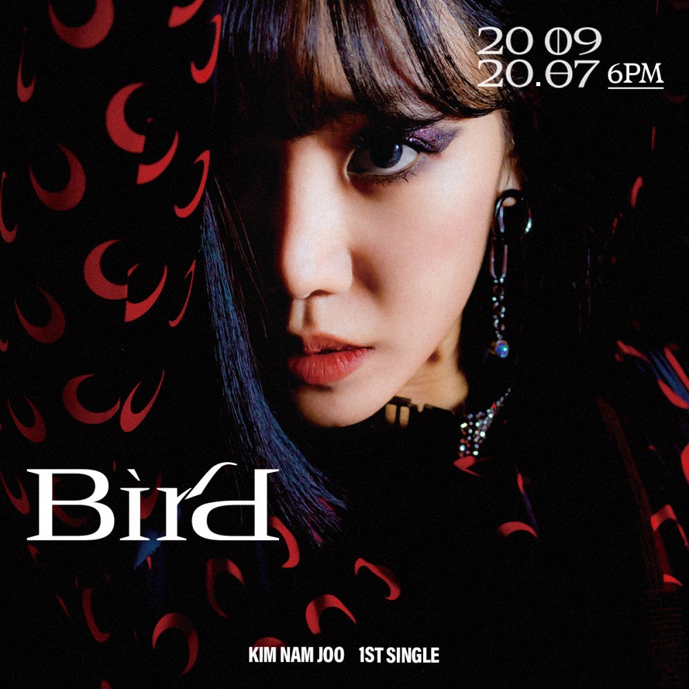 a-pink-namjoo-c-version-teaser-solo-debut-bird-3