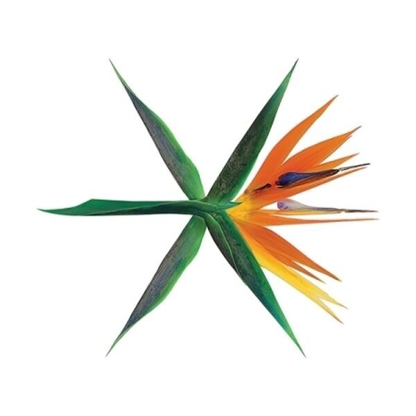 20-k-pop-albums-with-the-highest-first-day-sales-in-korean-history-06