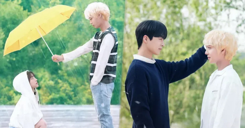 3 Uplifting Moments From 'At A Distance Spring Is Green' That Made Viewers’ Hearts Flutter