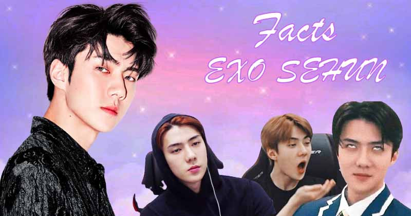 5 Facts You Might Don't Know About EXO Maknae Sehun