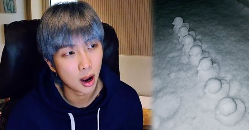 BTS’s RM Gives An Update On 7 Duck Snowballs ‘DTS’