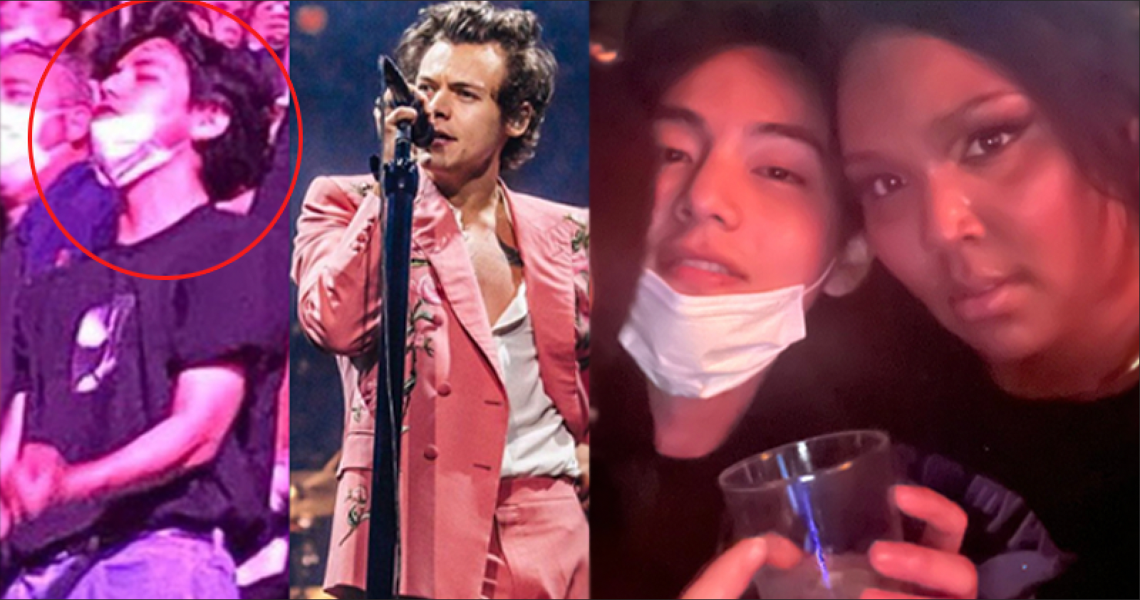 BTS V was too much for being the 'life of the party' at Harry Styles' concert