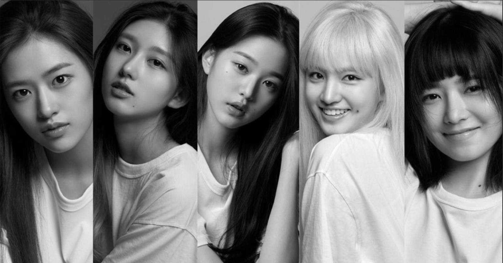 Netizens are certain Starship Entertainment's upcoming girl group IVE will hit big