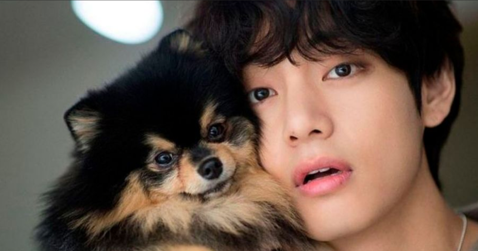 BTS V Melts Hearts For His Wish for Pet Yeontan