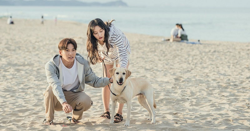 Ji Chang Wook And Kim Ji Won’s  Drama “Lovestruck In The City” Reveals  Christmas Poster