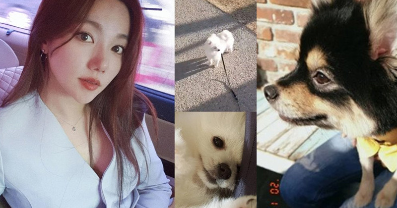 Actress Lee Chae Young Under Suspicion Of Habitually Abandoning Her Pets