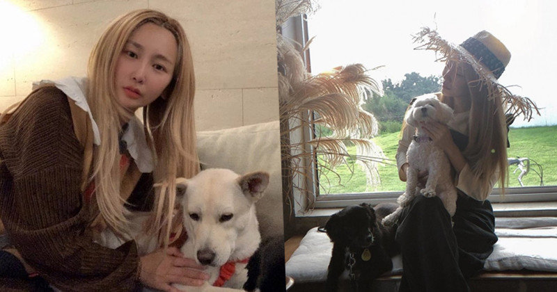 Brown Eyed Girls JeA Explains Her Decision To Permanently Move To Jeju Island